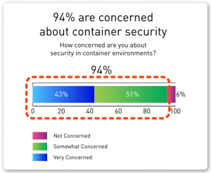 Container security concerns