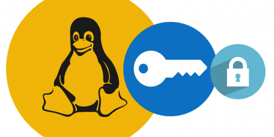 linux vpn hijacking bug