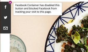 Facebook Container 2.0