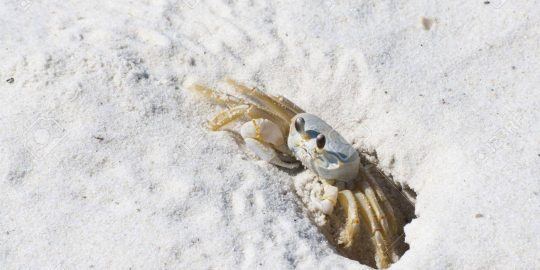 gandcrab ransomware retirement