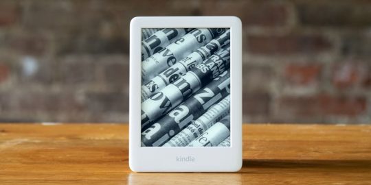 kindle e-reader bugs