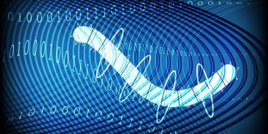 malware worm rocke group