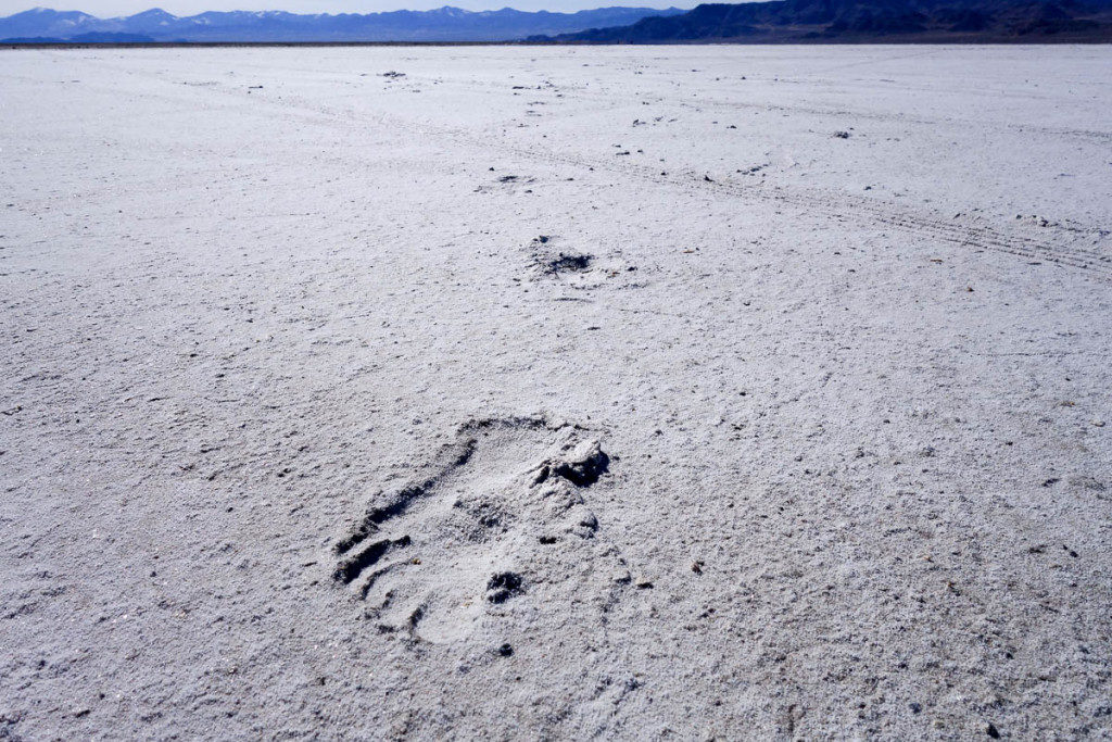 Bonneville Salt Flats, Utah