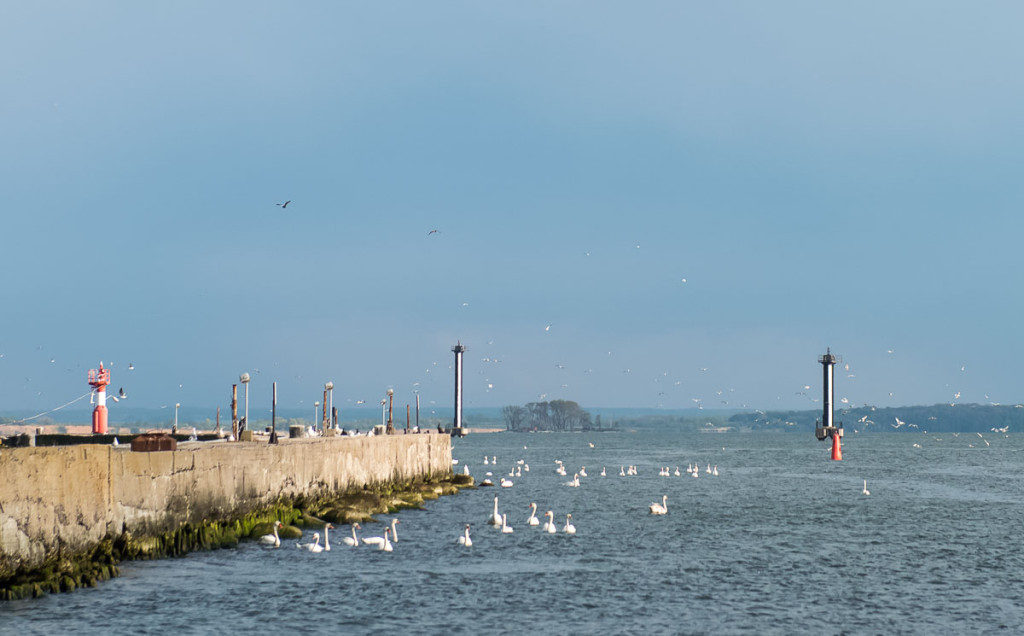 kaliningrad-russia-20