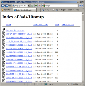 Data stolen by cybercriminals is stored on a web sever