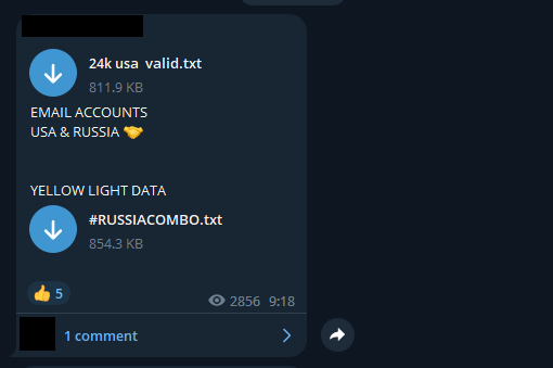 Files containing free credentials of US and Russian users