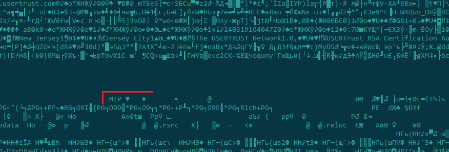 Malicious payload hidden inside a legit dynamic library signature