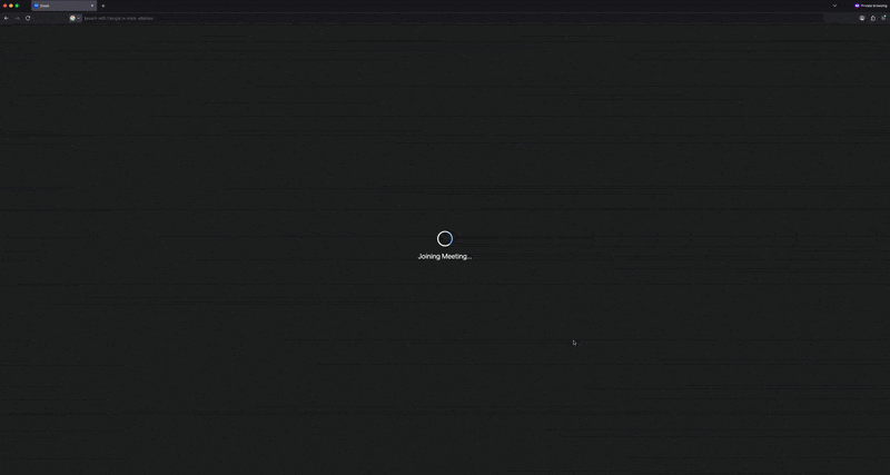 Fake Zoom meeting
