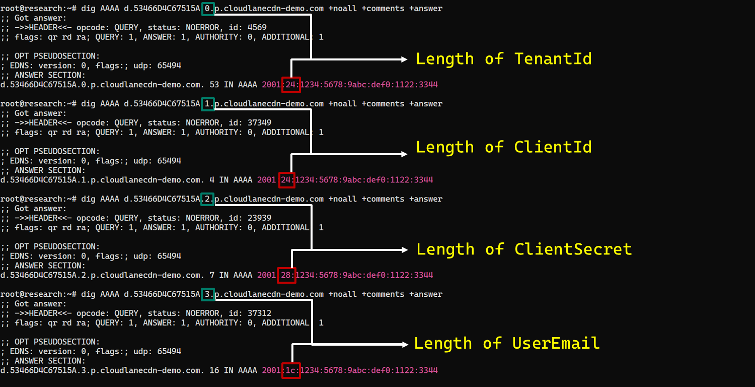 Field length encoding in DNS AAAA record responses (example)