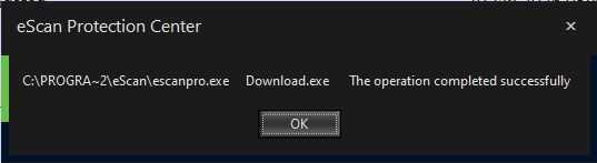 Сообщение об ошибке, которое мы увидели, попытавшись обновить eScan после манипуляций вредоносной нагрузки