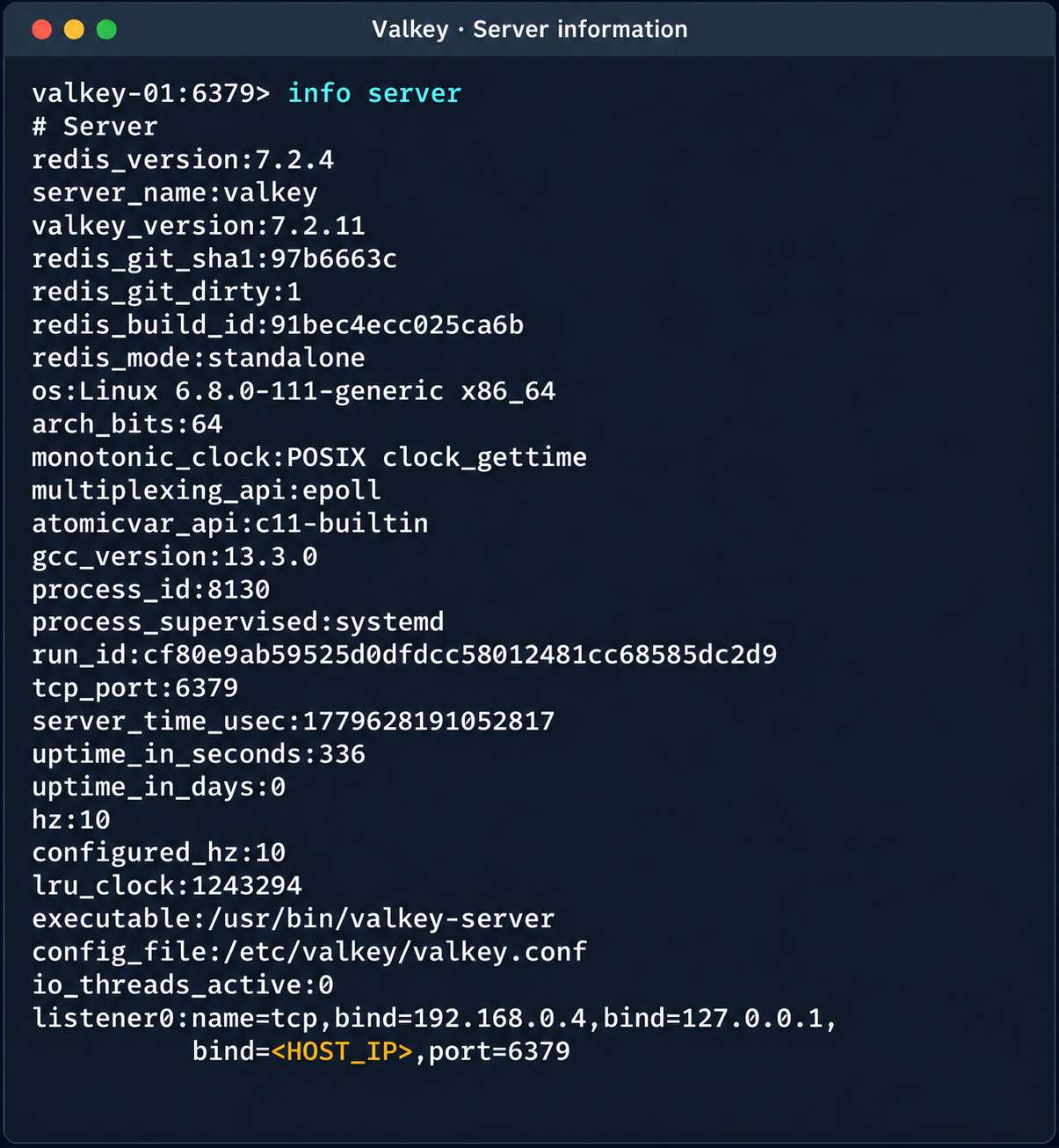 isolation-bypass11 Диагностическая информация экземпляра Valkey