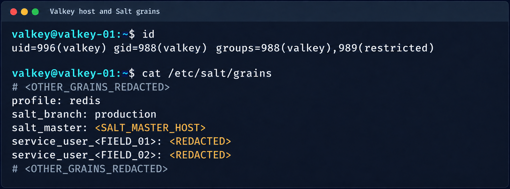 isolation-bypass20 Контекст процесса Valkey и параметры Salt grains