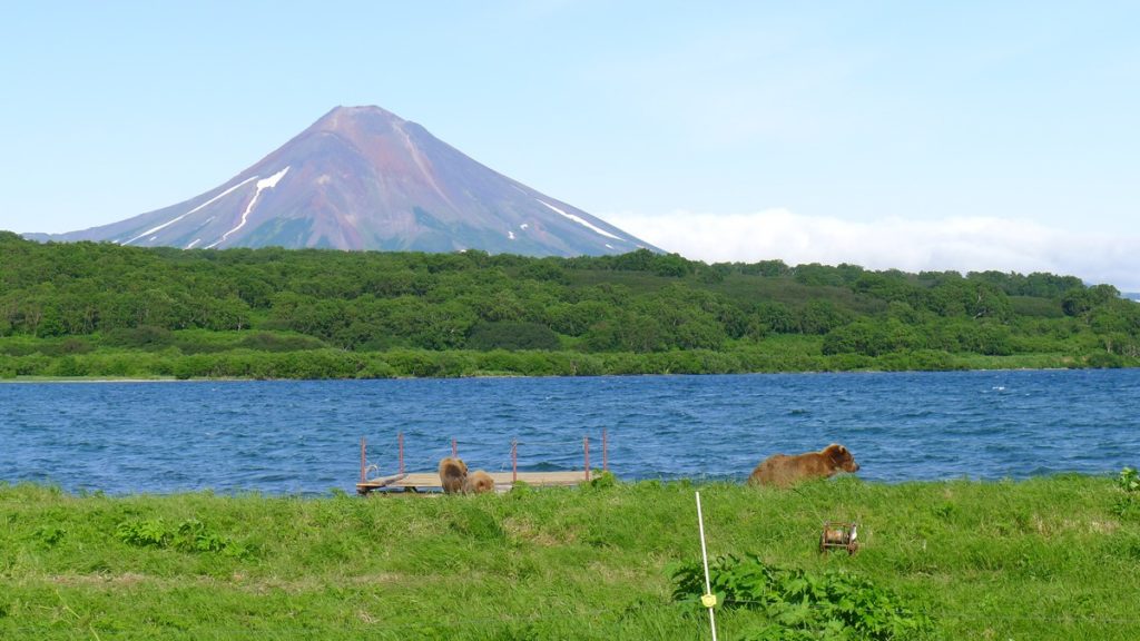 River Bears Landscape