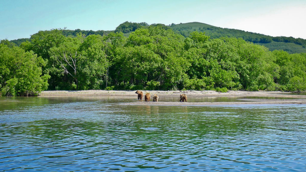 Wading in River