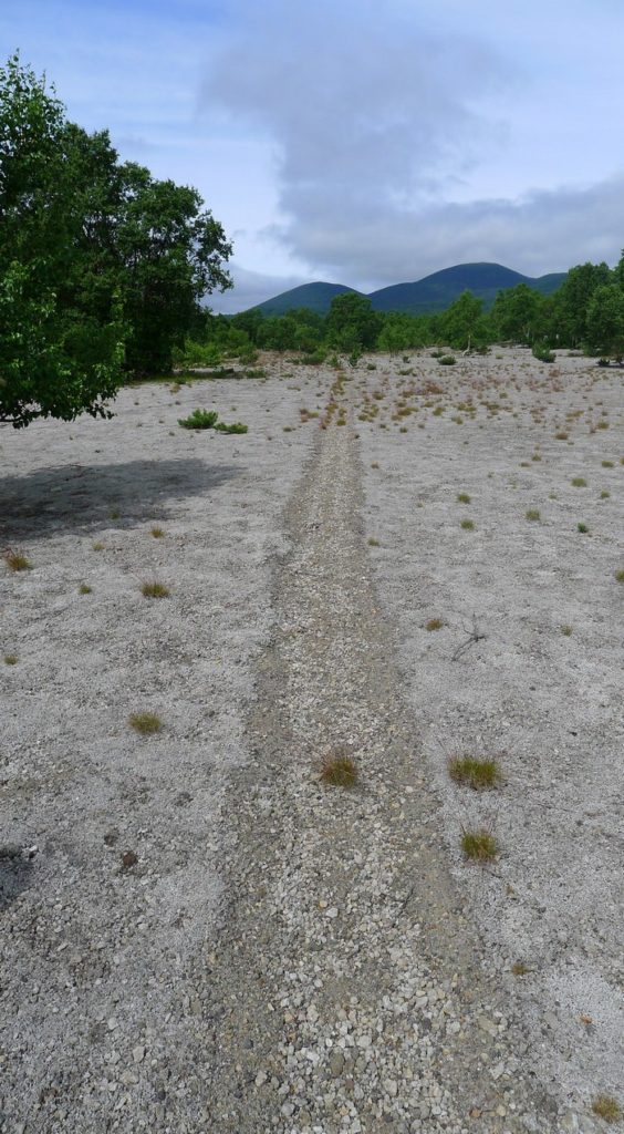 Bear Highway