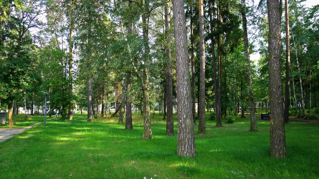 Yuri Center Grounds