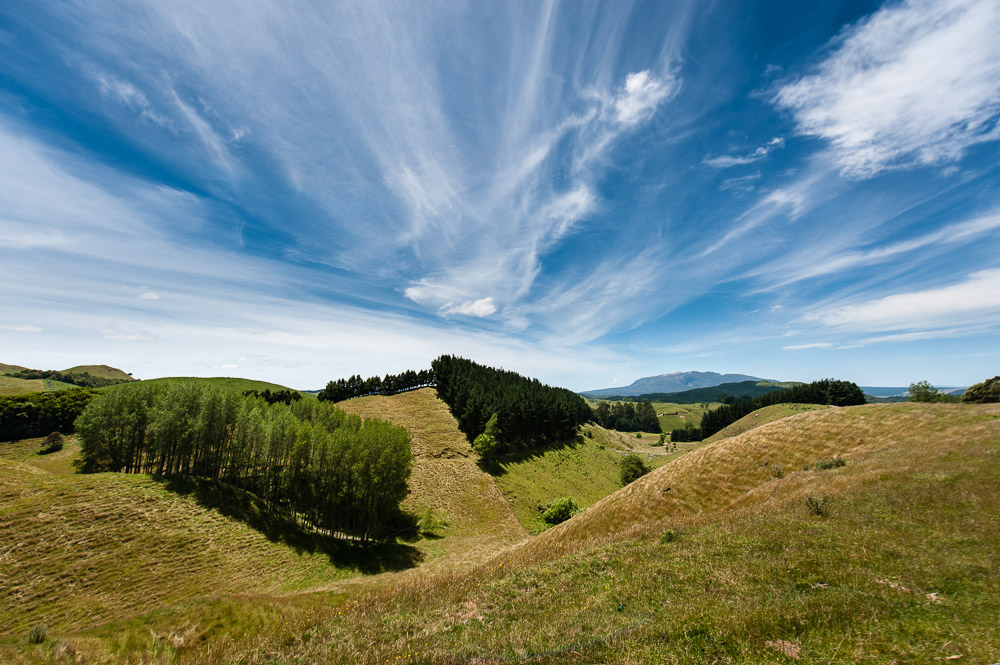 New Zealand