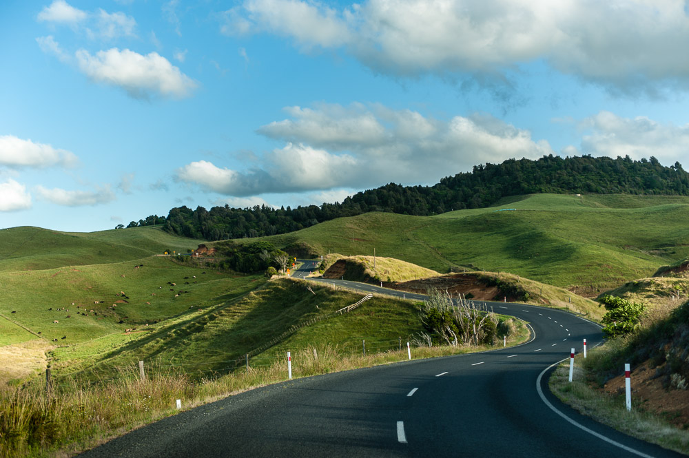 New Zealand