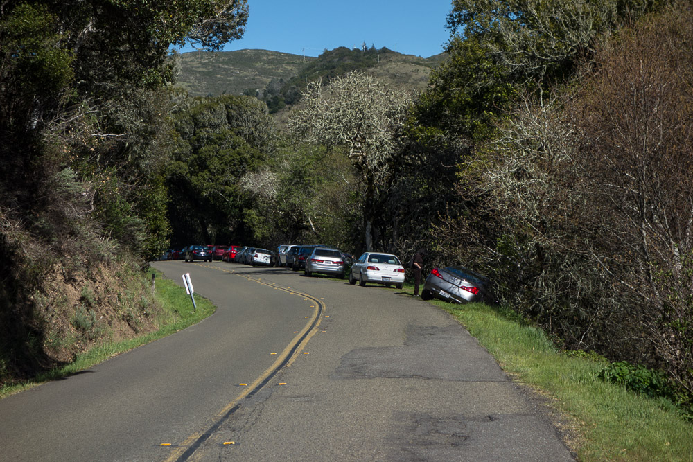 San Francisco, Muir Woods