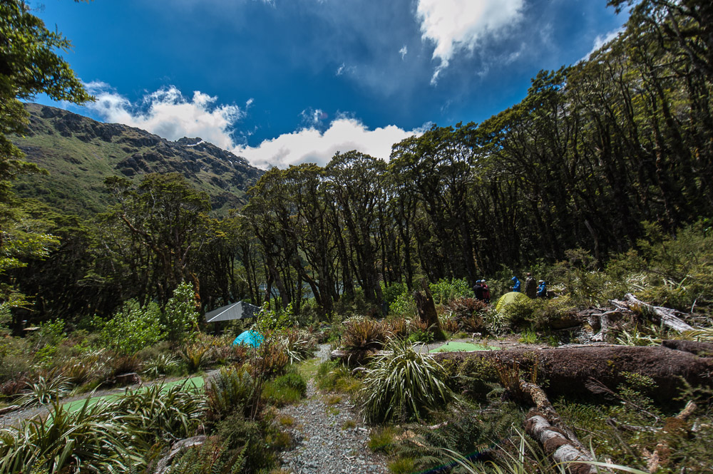 New Zealand