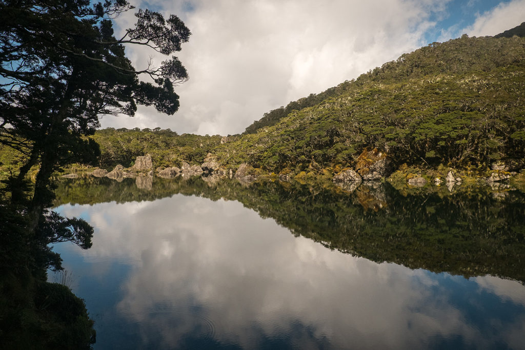 New Zealand