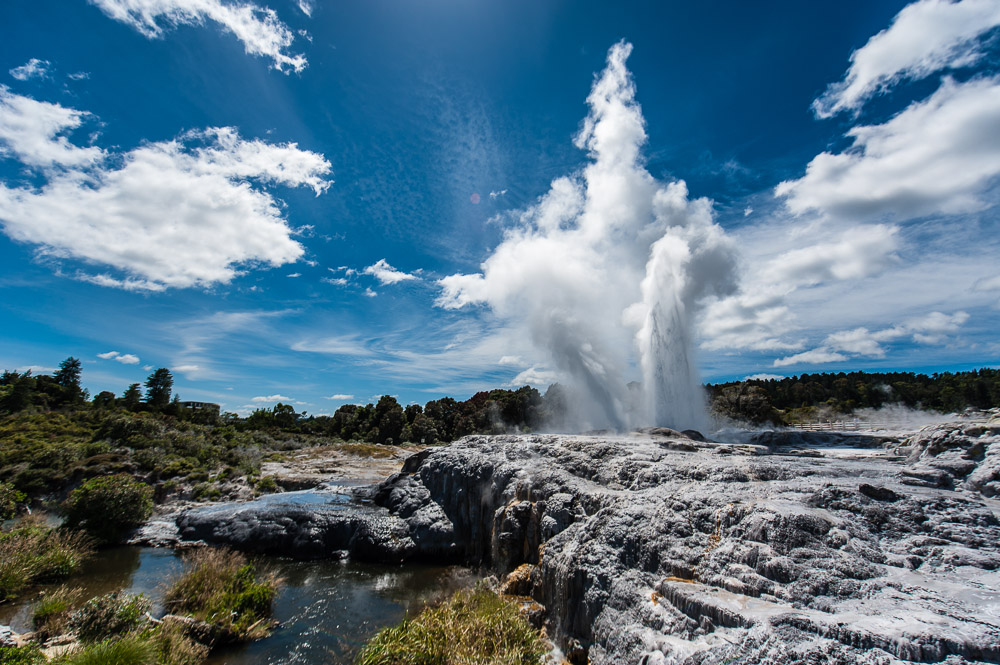 New Zealand, Geyser Pohutu