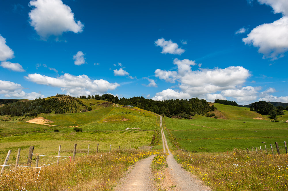 New Zealand