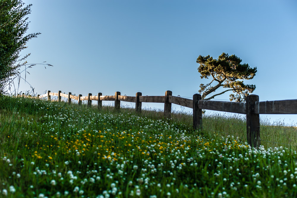 Hobbiton, New Zealand