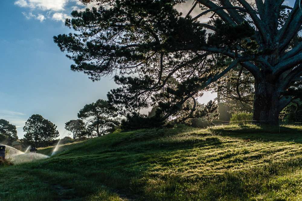 Hobbiton, New Zealand