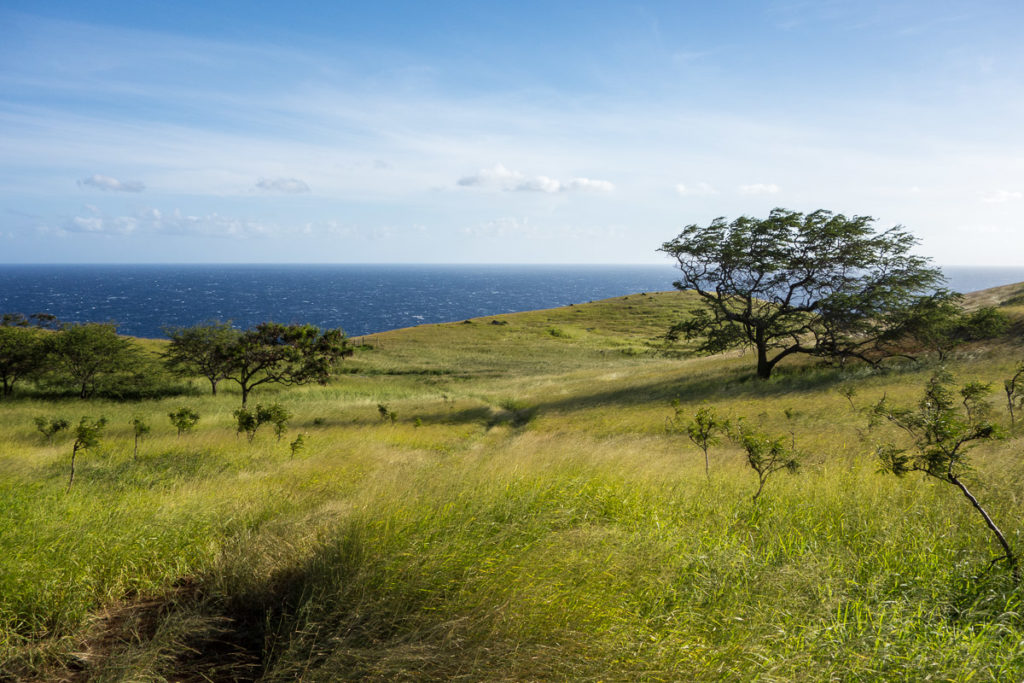 Hawaii