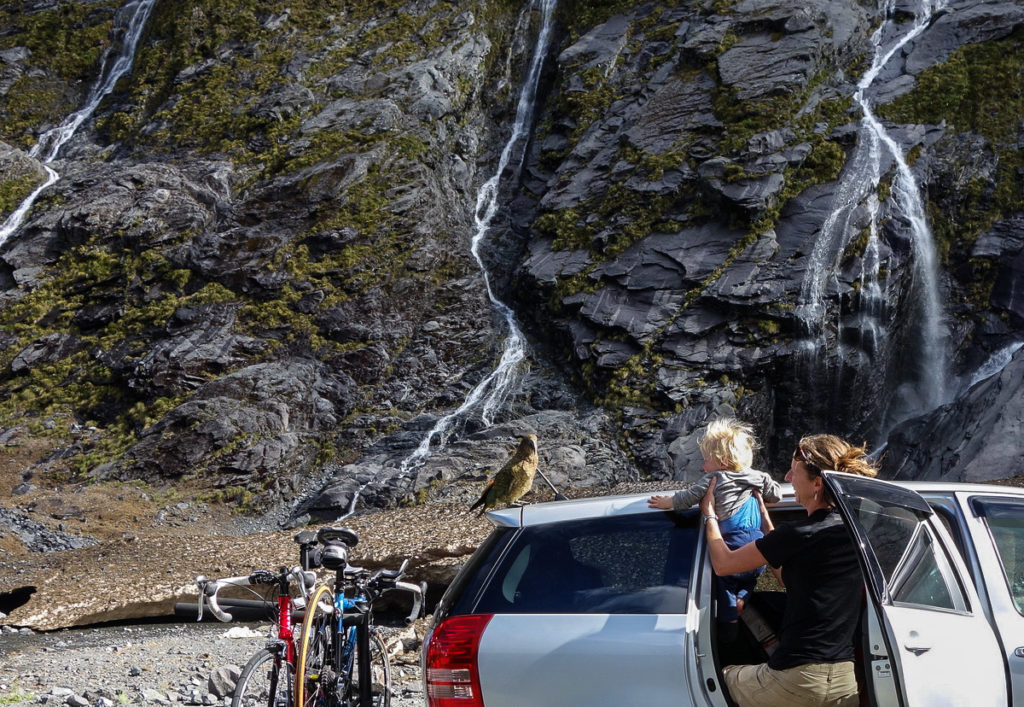 New Zealand - Milford Sound