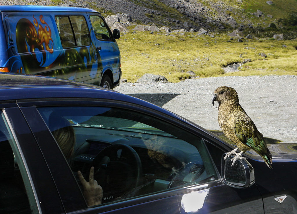 New Zealand - Milford Sound