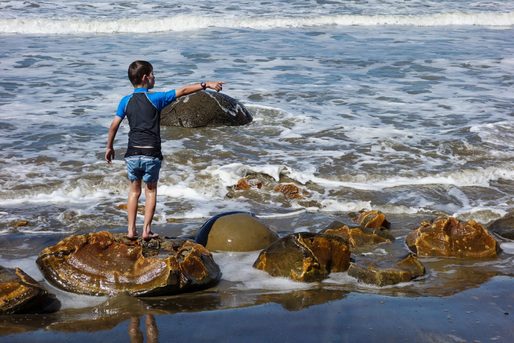 New Zealand - Moeraki Boulders