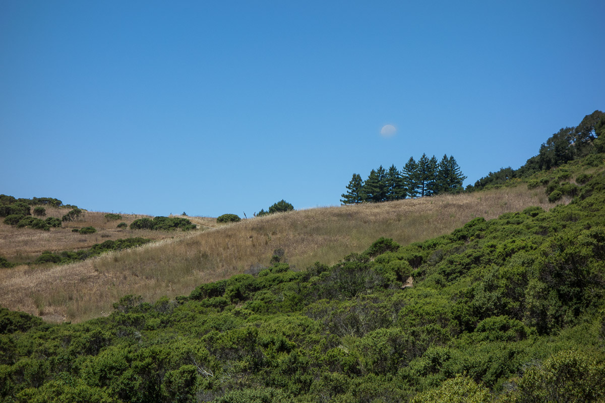 Djerassi Resident Artist Program Moonlight shadow