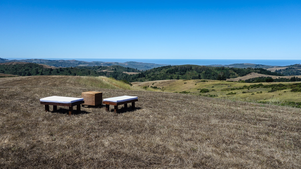 Djerassi Resident Artist Program landscape