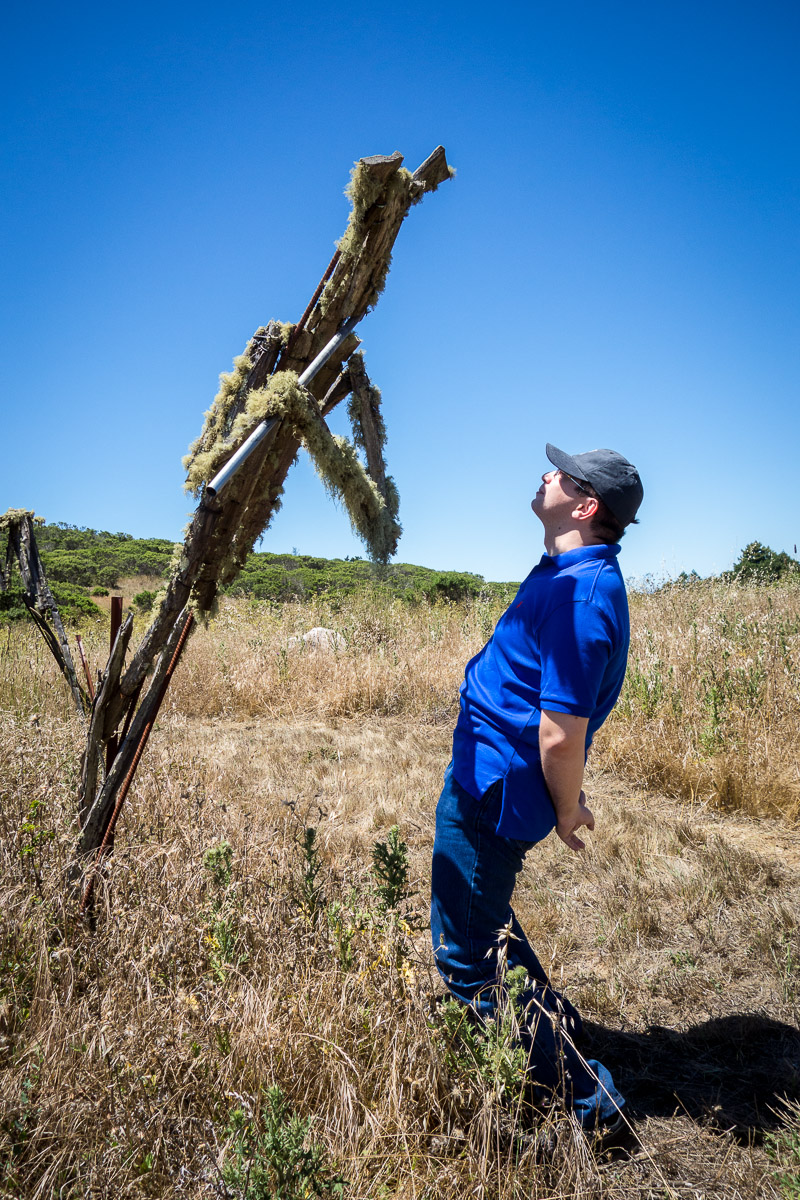 Djerassi Resident Artist Program Kunst4