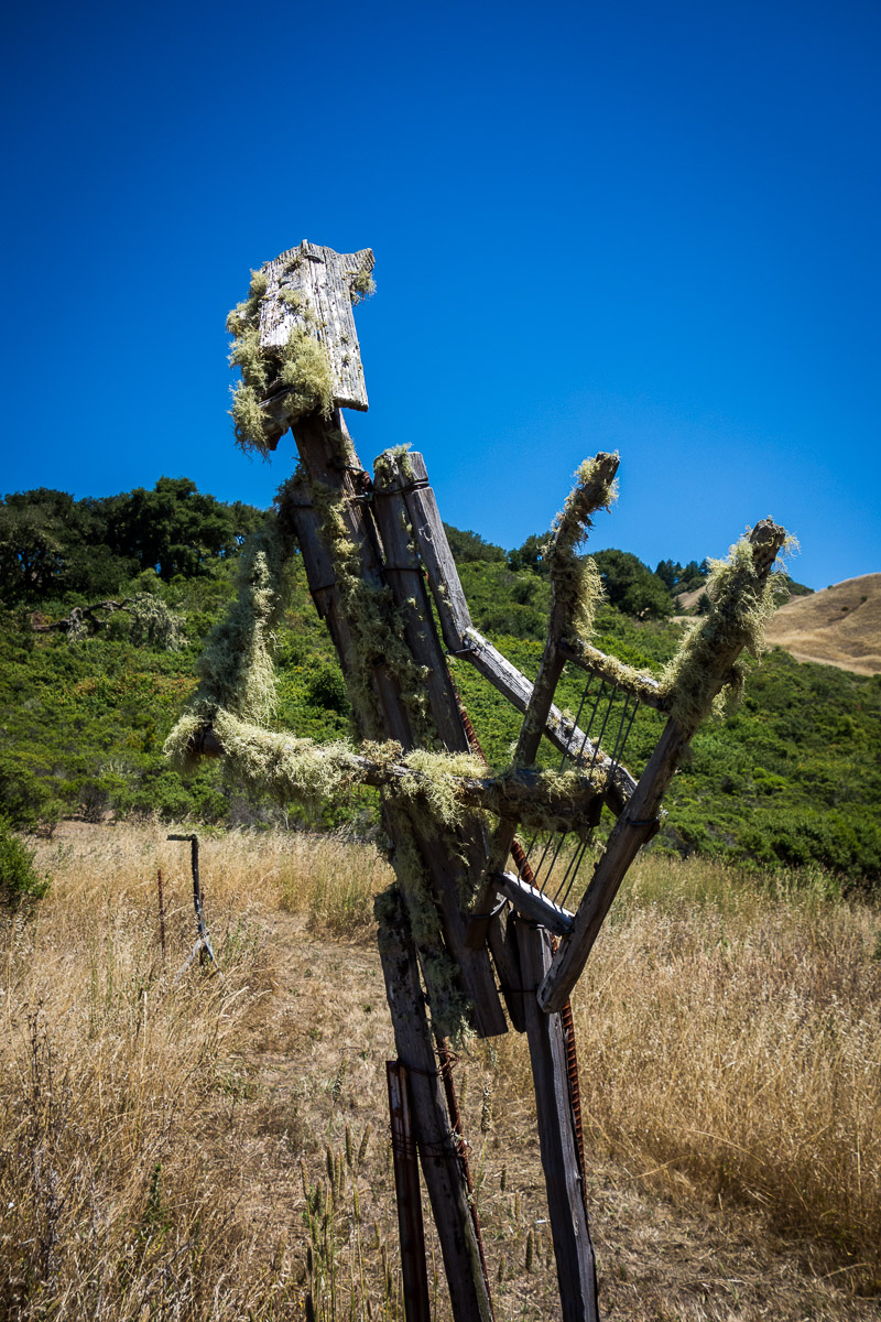 Djerassi Resident Artist Program Kunst3