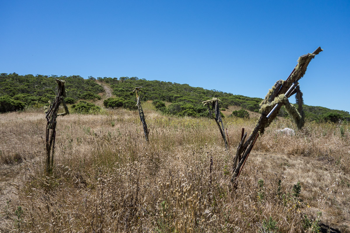 Djerassi Resident Artist Program Kunst2