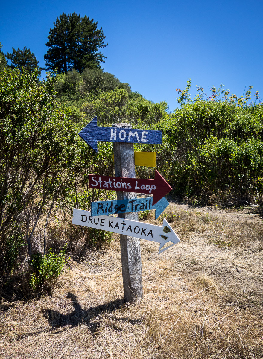 Djerassi Resident Artist Program crossroad