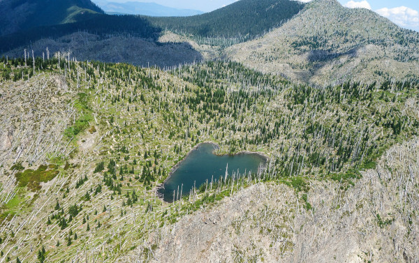 Rainier Volcano