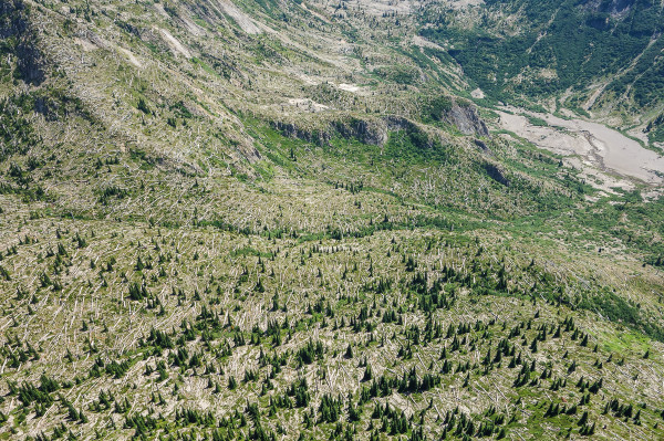 Rainier Volcano