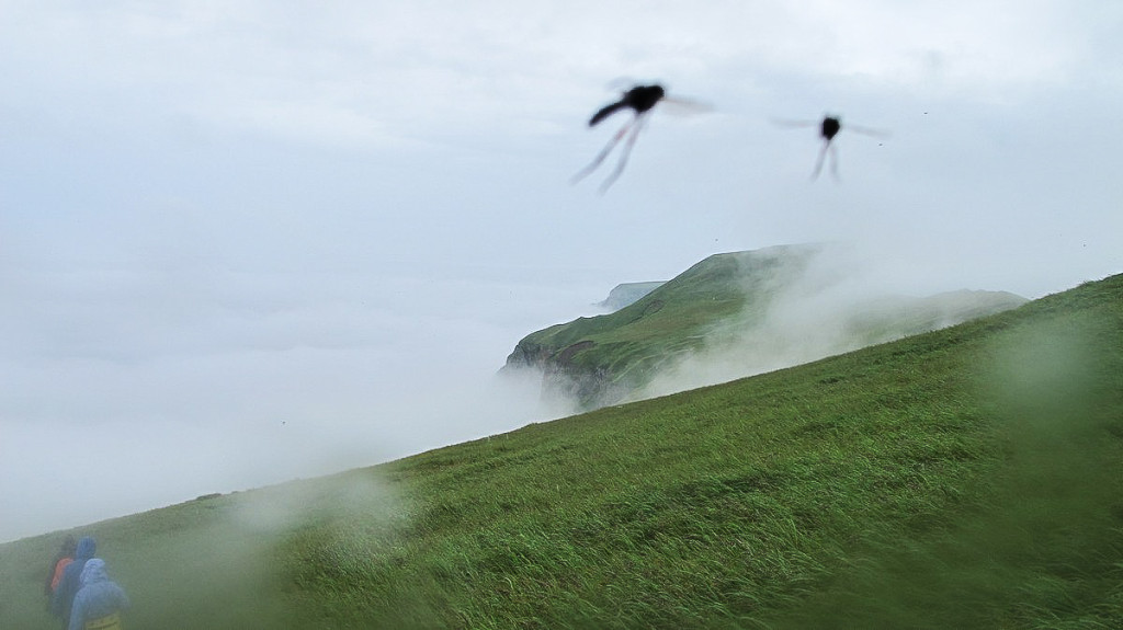 Kuril islands