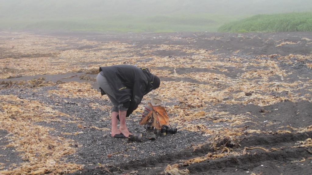 Kuril islands