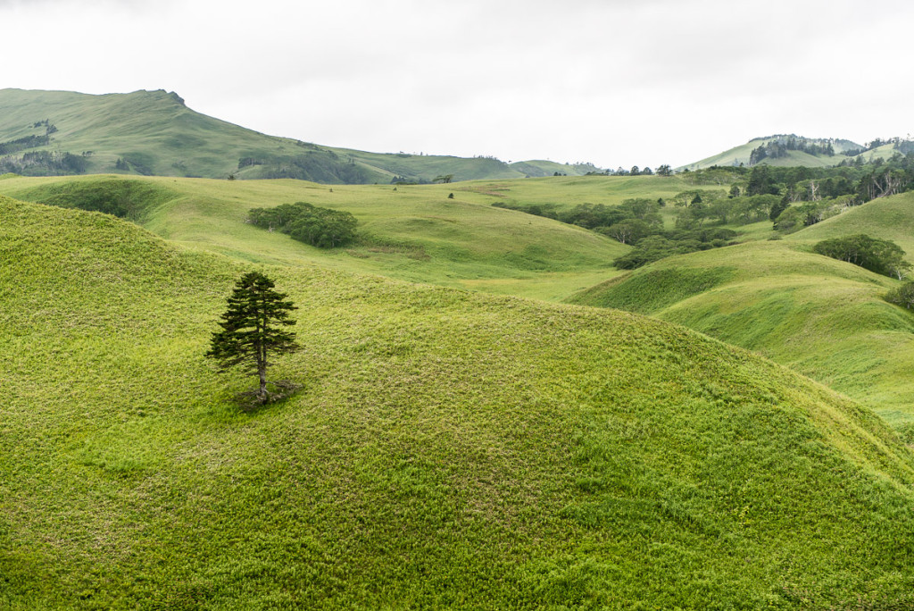 Kuril Islands - Shikotan