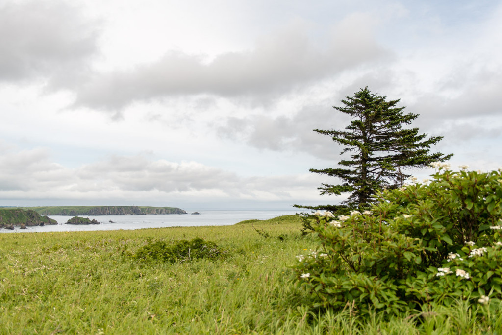 Kuril Islands - Shikotan