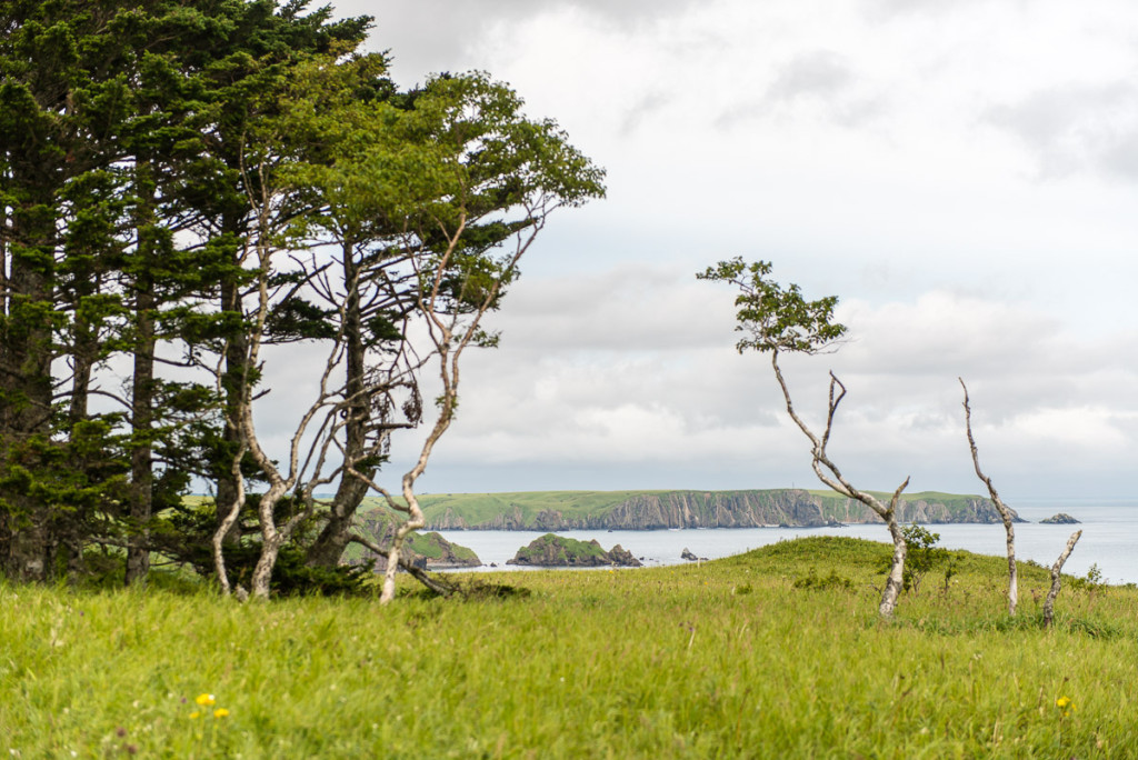 Kuril Islands - Shikotan