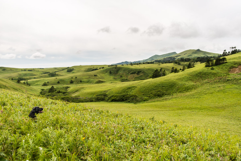 Kuril Islands - Shikotan