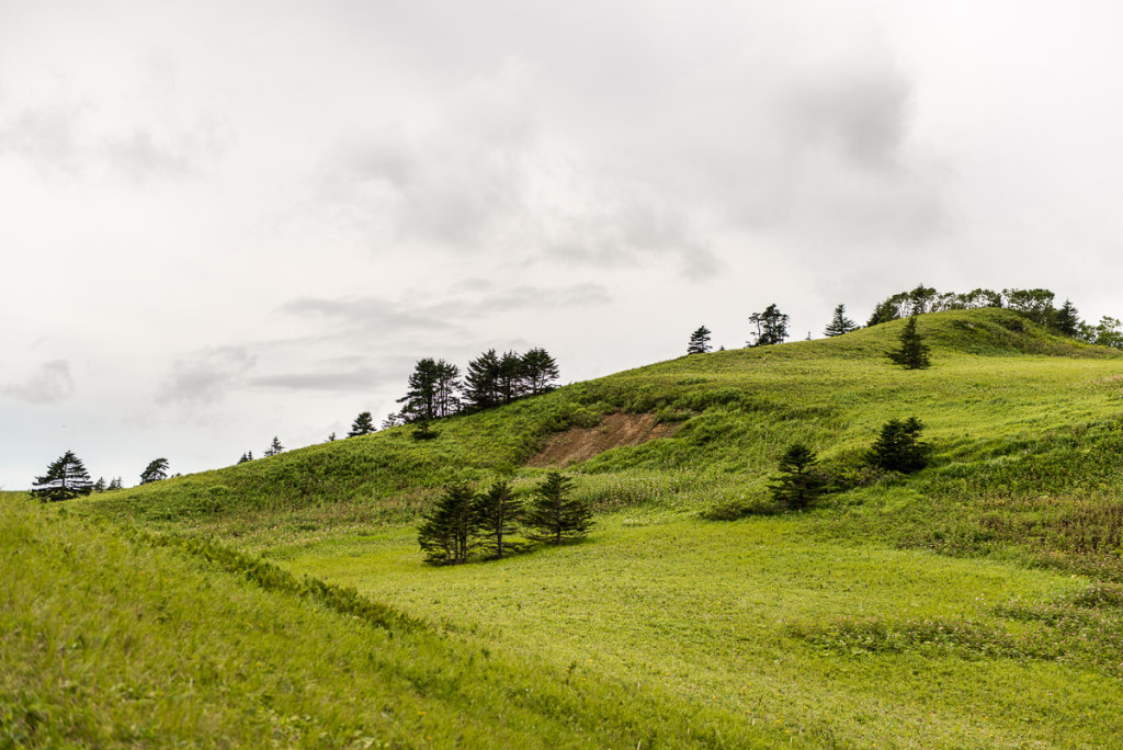 Kuril Islands - Shikotan