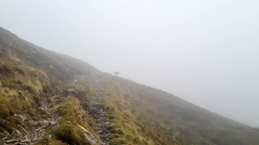 Slieve Laegue cliffs, Ireland